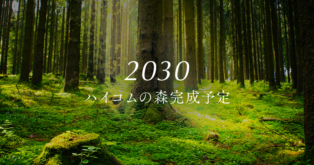 2030 ハイコムの森完成予定