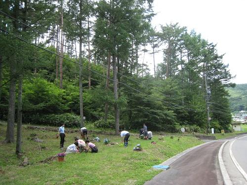 「ぶらりハイコム」（7月12日）｜News&Topics｜日本ハイコム株式会社